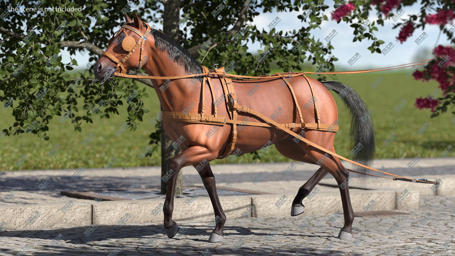 images/goods_img/20210313/Horse Drawn Leather Single Driving Harness Walking Pose Fur 3D model/4.jpg